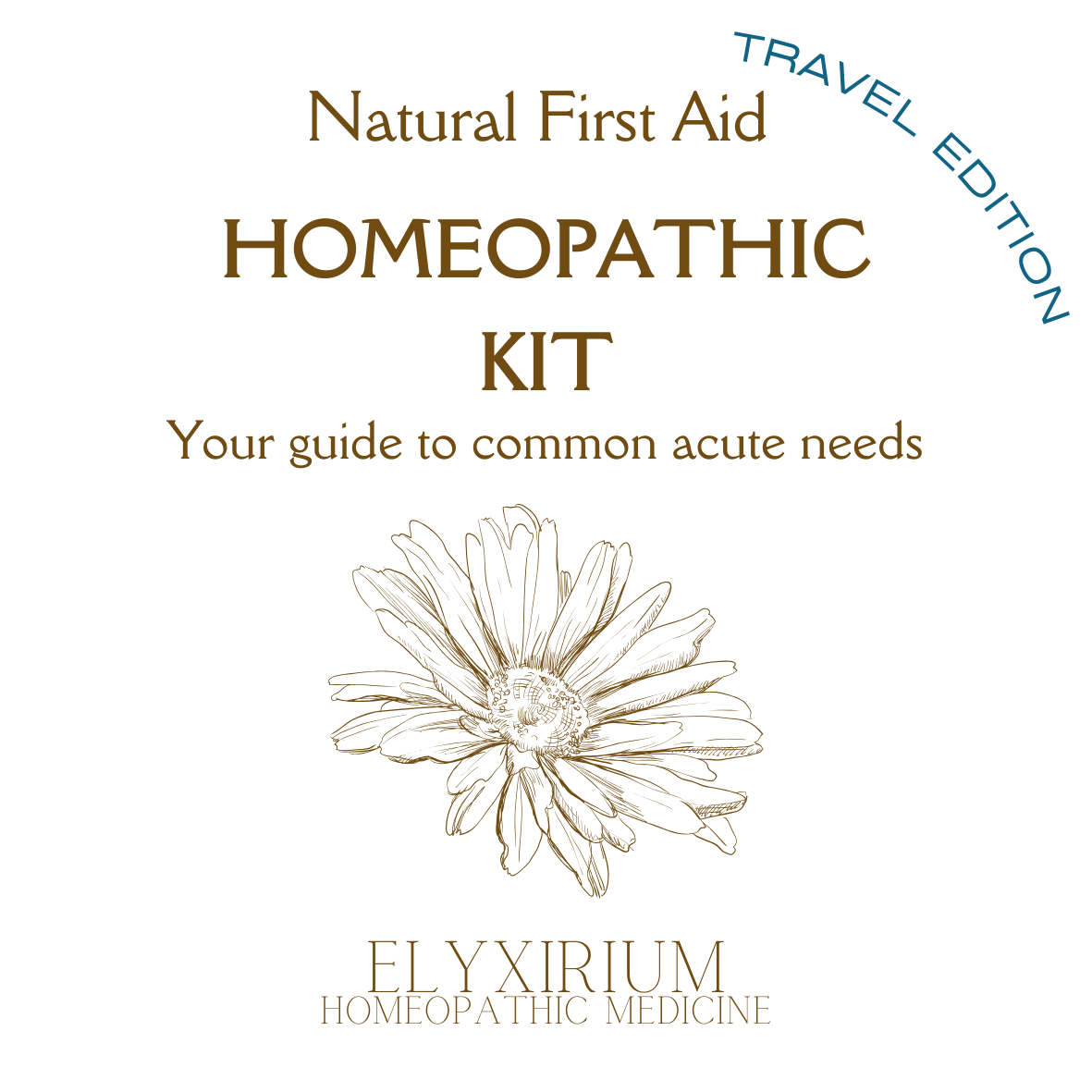 NATURAL FIRST AID KIT ~ TRAVEL EDITION ~ EBOOK